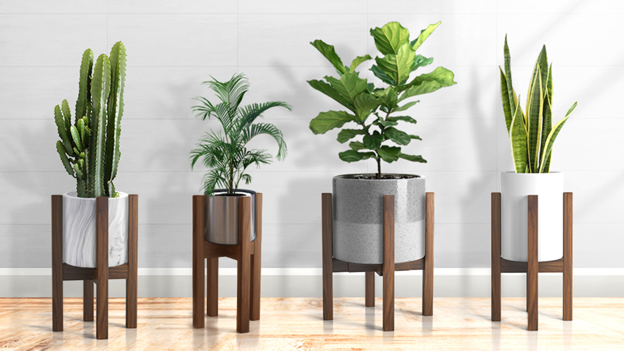 plant stands